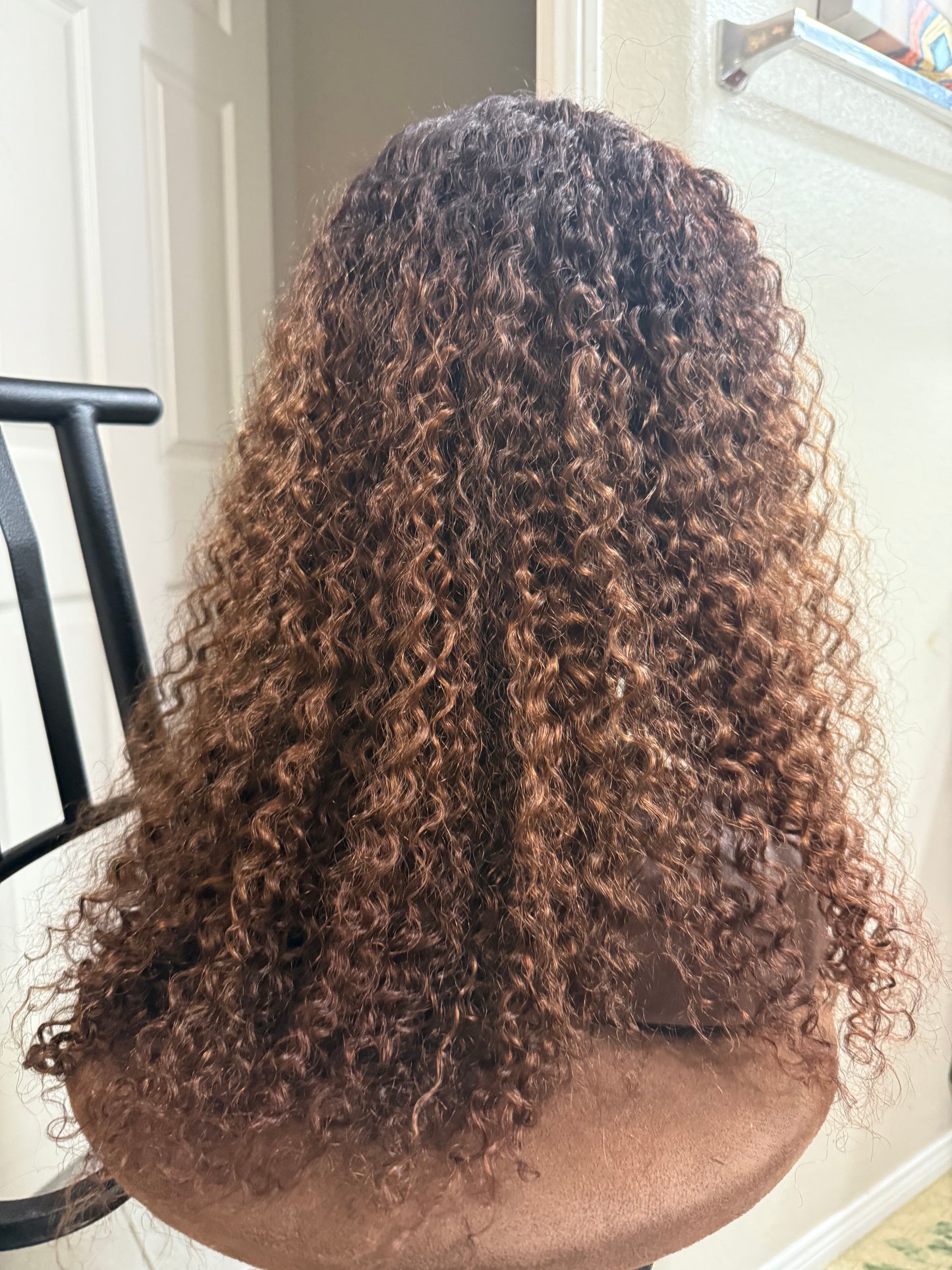 22 inch burmese curl