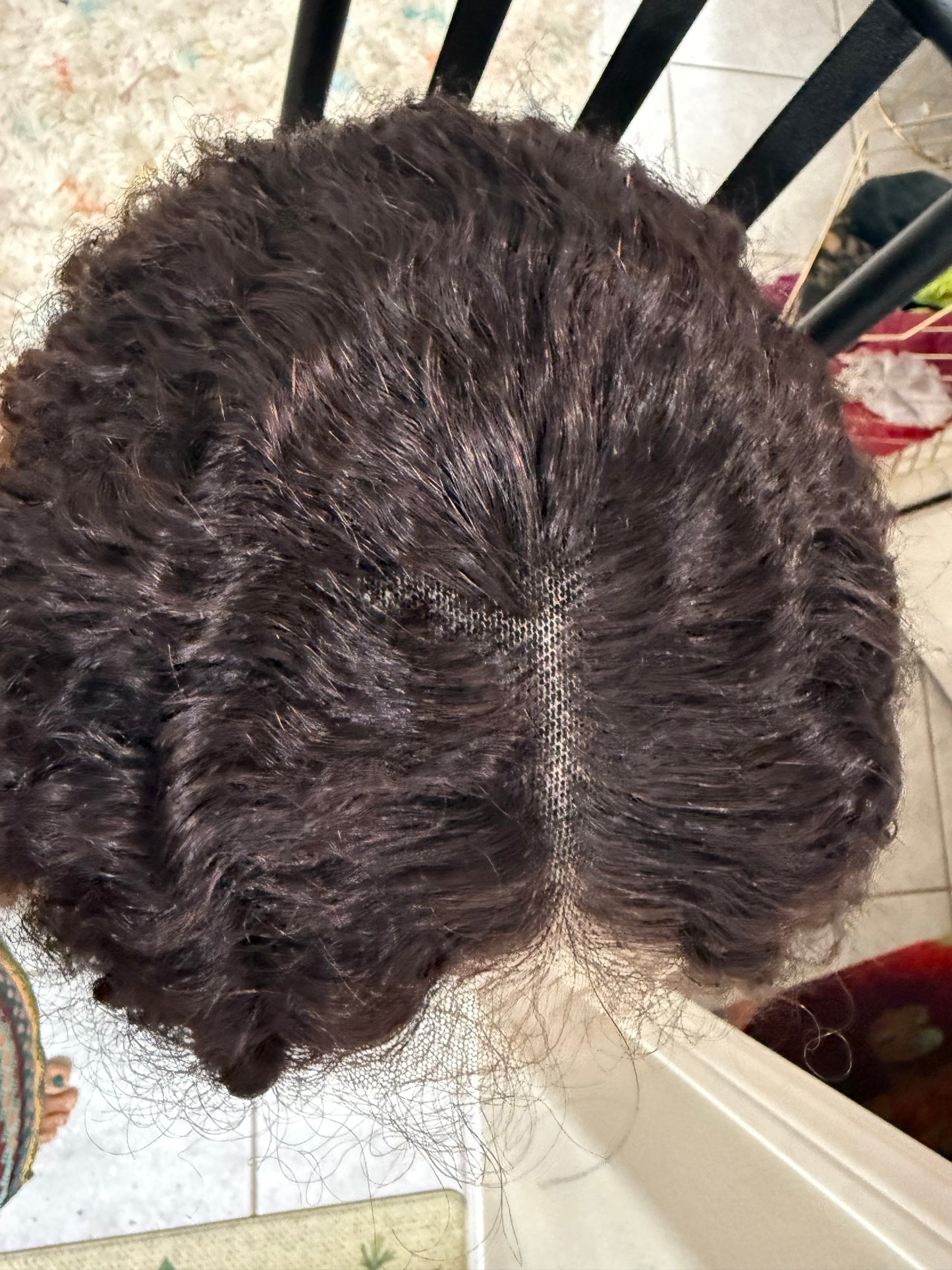 22 inch burmese curl